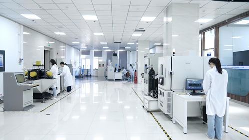 向新而行 打造高质量发展新引擎——网络技术服务的核心驱动力